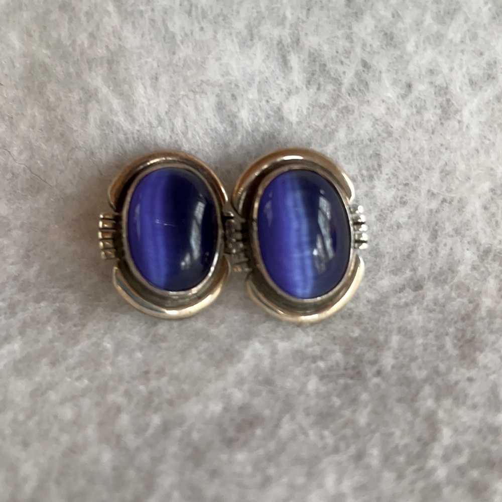 Blue Paua Shell Sterling Earrings